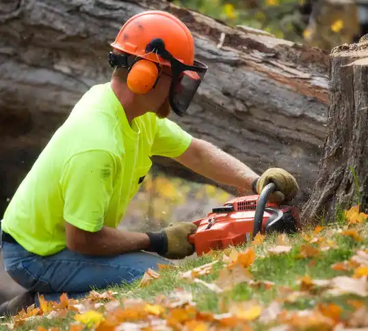 tree services Stockbridge